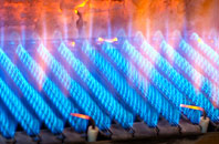 Polsham gas fired boilers